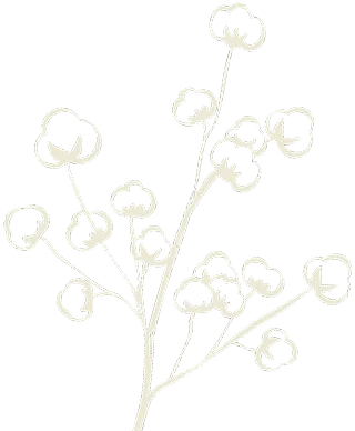 gypsophile-01-beige-livres