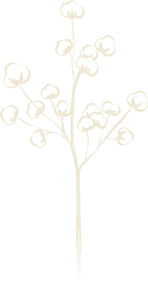 gypsophile-gradient-01-beige