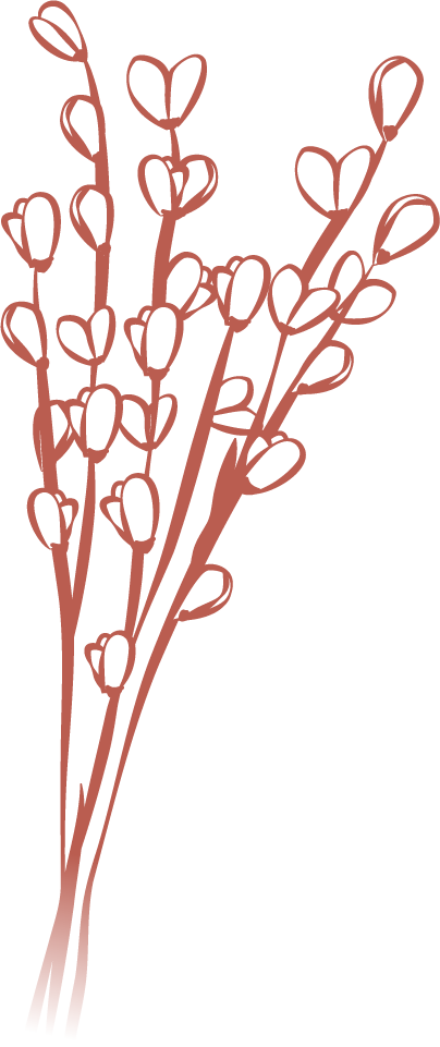 gypsophile-gradient-02-terracotta
